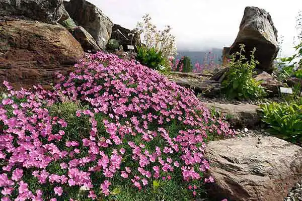 Botanical Garden Norway Botanical Garden Norway