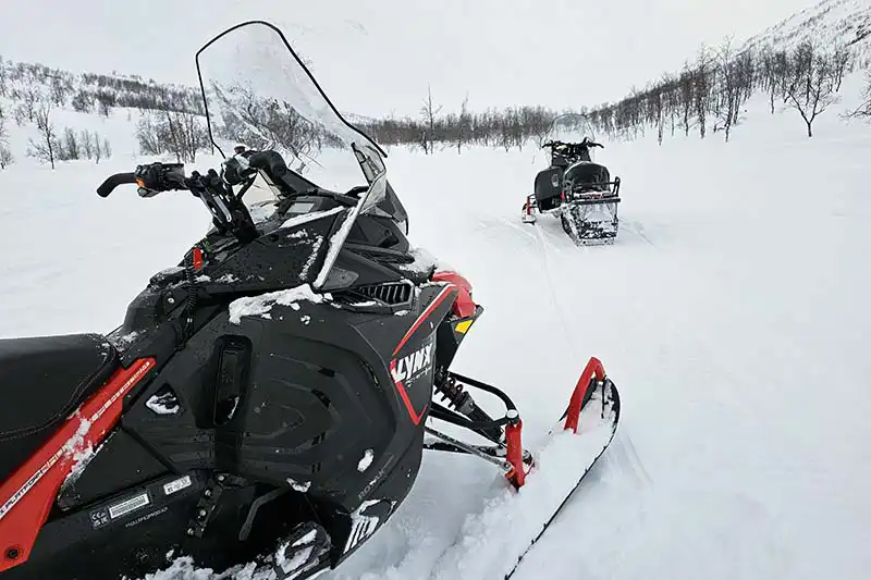 winter activities winter activities