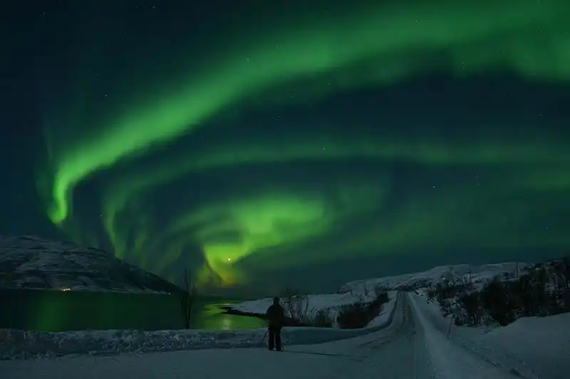 Northern Lights Tromsø Northern Lights Tromsø